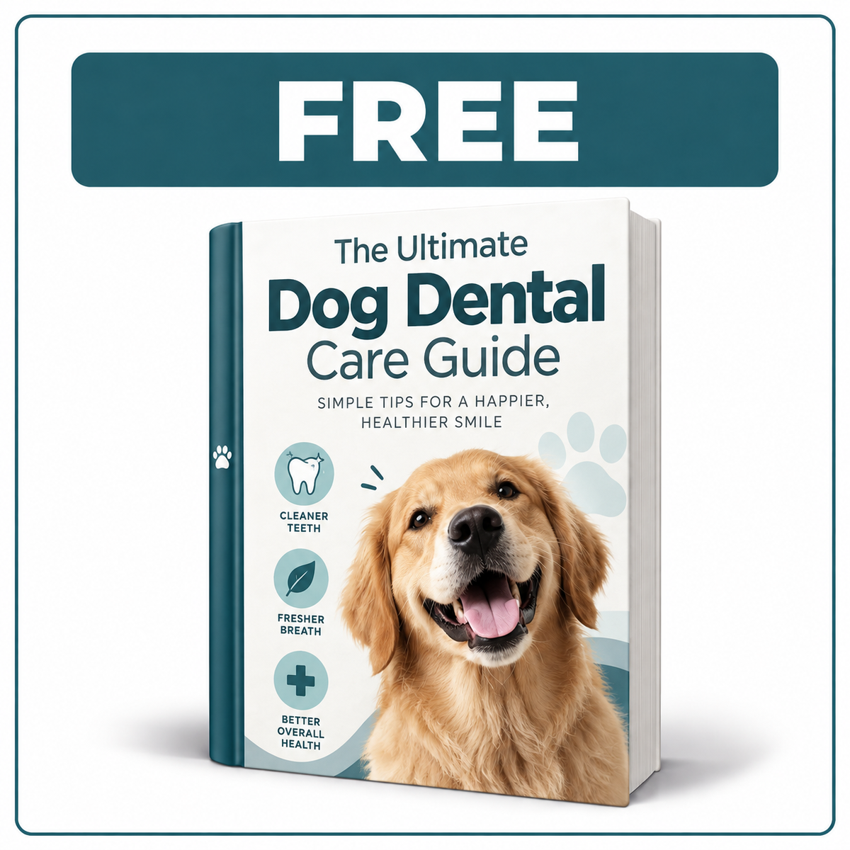 The Ultimate Dog Dental Care Guide