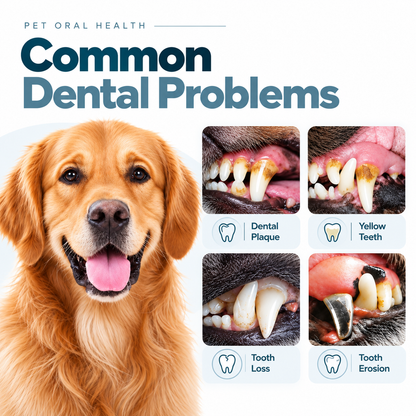 Bright Bite™ — Pet Dental Cleaner